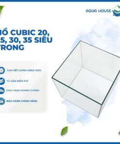 HỒ CUBIC 20, 25, 30, 35 SIÊU TRONG 4 MẶT - KÍNH 5MM