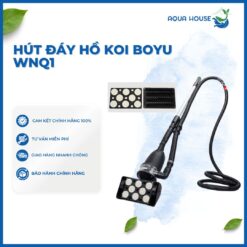 HÚT ĐÁY HỒ KOI BOYU WNQ1
