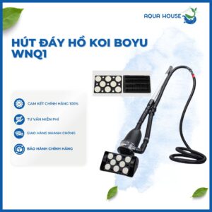 HÚT ĐÁY HỒ KOI BOYU WNQ1