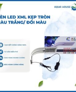 ĐÈN LED XML KẸP TRÒN MÀU TRẮNG/ ĐỔI MÀU 3 CHẾ ĐỘ