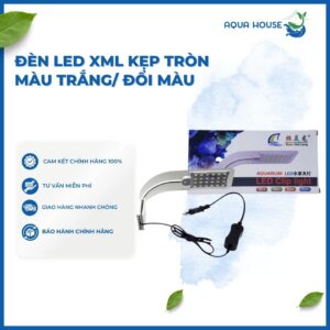 ĐÈN LED XML KẸP TRÒN MÀU TRẮNG/ ĐỔI MÀU 3 CHẾ ĐỘ