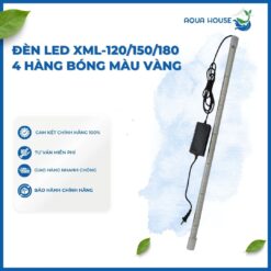 ĐÈN LED XML (120/150/180) 4 HÀNG BÓNG MÀU VÀNG CHO CÁ RỒNG