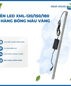 ĐÈN LED XML (120/150/180) 4 HÀNG BÓNG MÀU VÀNG CHO CÁ RỒNG