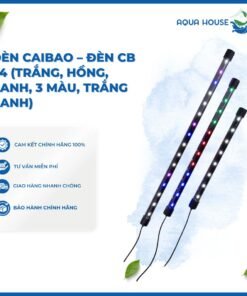 ĐÈN CAIBAO - ĐÈN CB T4 (TRẮNG, HỒNG, XANH, 3 MÀU, TRẮNG XANH)