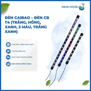 ĐÈN CAIBAO - ĐÈN CB T4 (TRẮNG, HỒNG, XANH, 3 MÀU, TRẮNG XANH)