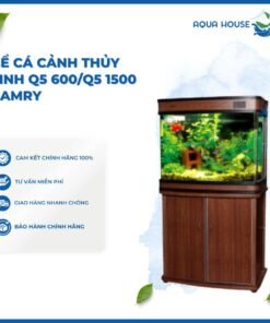 BỂ CÁ CẢNH THỦY SINH Q5 60 đến Q5 150 CAMRY