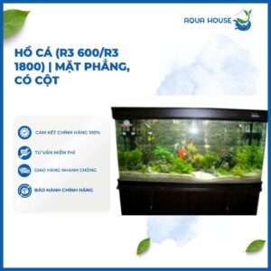 HỒ CÁ (R3 600/R3 1800) | MẶT PHẲNG, CÓ CỘT