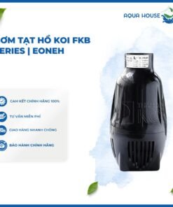 BƠM TẠT HỒ KOI FKB SERIES | EONEH