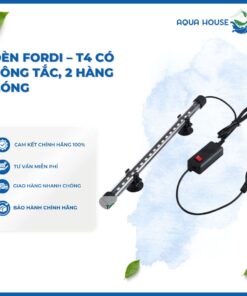 ĐÈN FORT DI - T4 CÓ CÔNG TẮC, 2 HÀNG BÓNG