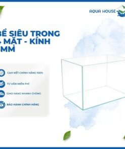 HỒ SIÊU TRONG 4 MẶT - KÍNH 5MM