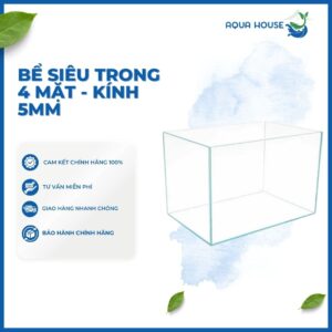 HỒ SIÊU TRONG 4 MẶT - KÍNH 5MM