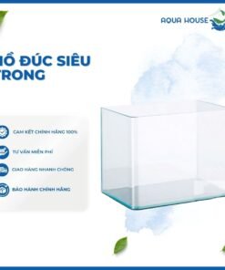 HỒ ĐÚC SIÊU TRONG NHIỀU KÍCH THƯỚC - KÍNH 5MM