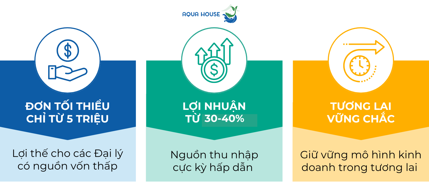 Đại lý 6 30 40