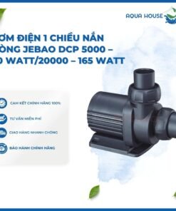 BƠM ĐIỆN 1 CHIỀU NẮN DÒNG JEBAO DCP 2500 đến DCP 20000