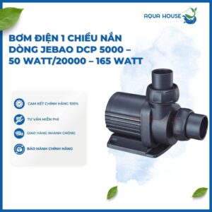 BƠM ĐIỆN 1 CHIỀU NẮN DÒNG JEBAO DCP 2500 đến DCP 20000