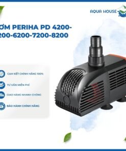 BƠM PERIHA PD 4200 - PD 8200 CHO CÁ CẢNH HỒ CÁ THÁC NƯỚC ĐÀI PHUN