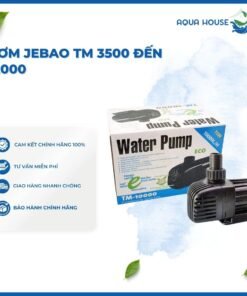 MÁY BƠM JEBAO TM 3500 | TM 5000 | TM 6500 | TM 8000 | TM 10000 BƠM NƯỚC CẤP NƯỚC HỒ CÁ THÁC NƯỚC