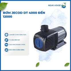 MÁY BƠM ĐẨY JECOD DT 4000 – 5500 – 7000 – 8500 – 10000 – 12000 CHO HỒ CÁ