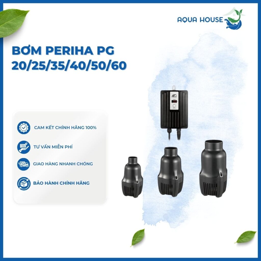 Máy bơm periha PG cho hồ cá koi 20 khối 