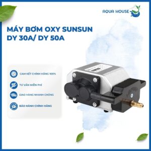 MÁY BƠM OXY CHO BỂ CÁ HỒ CÁ SUNSUN DY 30A/DY 50A