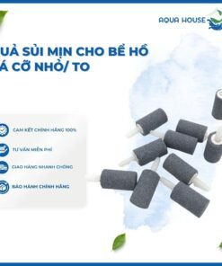 QUẢ SỦI MỊN CHO HỒ CÁ CỠ NHỎ / CỠ TO