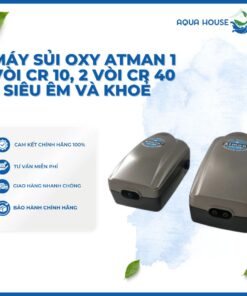 MÁY SỦI OXY ATMAN 1 VÒI CR 10, 2 VÒI CR 40 - SIÊU ÊM VÀ KHOẺ
