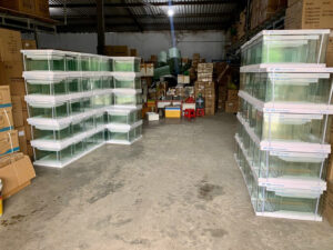 8f0a2d564b6df033a97c15 1