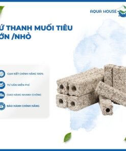 SỨ THANH MUỐI TIÊU LỚN - NHỎ