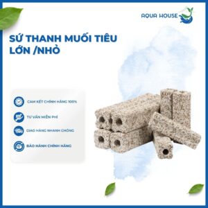 SỨ THANH MUỐI TIÊU LỚN - NHỎ