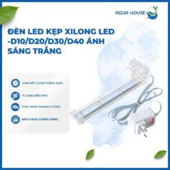 ĐÈN LED KẸP XILONG LED (D10/D20/D30/D40) ÁNH SÁNG TRẮNG CHO BỂ CÁ THỦY SINH