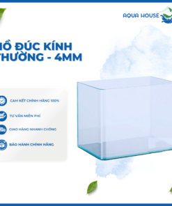 HỒ ĐÚC NHIỀU KÍCH THƯỚC - KÍNH 4MM