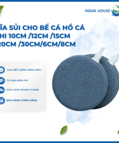 ĐĨA SỦI CHO BỂ CÁ HỒ CÁ PHI 10CM /12CM /15CM /20CM /30CM/6CM/8CM