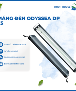 MÁNG ĐÈN ODYSSEA DP 50/65 -DP 60/80 -DP 90/100 -DP 120/140 -DP 150/170 2 BÓNG T5