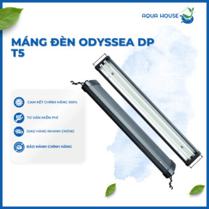 MÁNG ĐÈN ODYSSEA DP 50/65 -DP 60/80 -DP 90/100 -DP 120/140 -DP 150/170 2 BÓNG T5