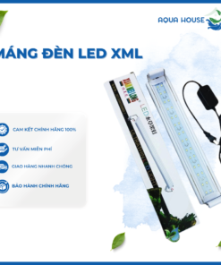 MÁNG ĐÈN LED XML-20/3W MÀU TRẮNG | XML-60/12W - XML-80/14W ĐỔI MÀU 3 CHẾ ĐỘ