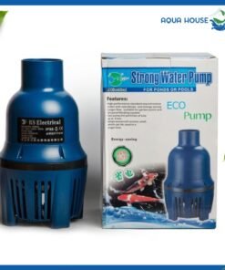 Máy Bơm RS Hồ cá