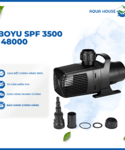 MÁY BƠM NƯỚC THÁC ĐÀI PHUN BOYU SPF 13000