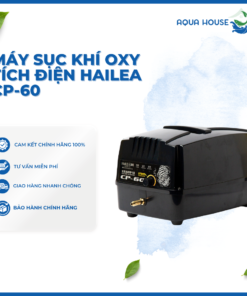MÁY SỤC KHÍ OXY TÍCH ĐIỆN CHO HỒ KOI, HỒ CÁ CẢNH HAILEA CP-60