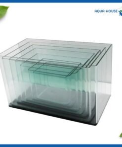 HỒ ĐÚC KÍNH THƯỜNG NHIỀU KÍCH THƯỚC