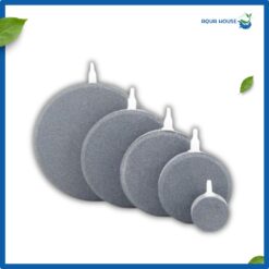 đĩa sủi oxy lớn nhỏ