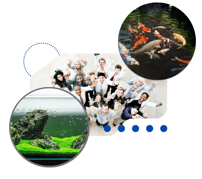 Giới thiệu 1 gioi thieu aquahouse