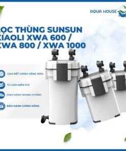 Lọc Thùng SunSun Xiaoli XWA 600 / XWA 800 / XWA 1000 Cao Cấp - Lọc Thùng Tích Hợp Lọc Váng Và Van Xả Đáy