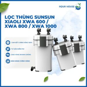 Lọc Thùng SunSun Xiaoli XWA 600 / XWA 800 / XWA 1000 Cao Cấp - Lọc Thùng Tích Hợp Lọc Váng Và Van Xả Đáy