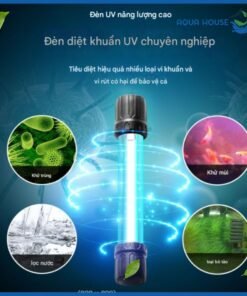 Lưu ý khi sử dụng đèn UV Fort DI để đảm bảo an toàn và hiệu quả diệt khuẩn, diệt tảo tốt nhất.