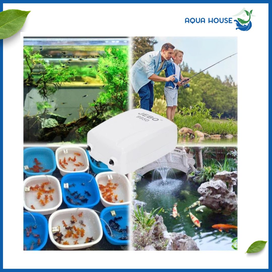 Máy Sủi Oxy Tích Điện Jebo 9970 6 Máy Sủi Oxy Tích Điện Jebo 9970