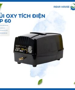 Máy sủi oxy tích điện Hailea CP 60 cho hồ Koi