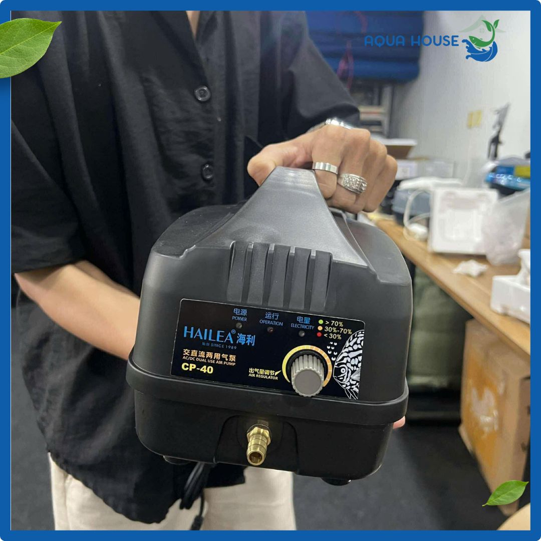 Máy Sủi Oxy Tích Điện Hailea CP 40 - CP 70 - CP 100 - Bảo Hành 6 Tháng 28 Máy sủi CP 40