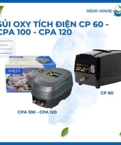 Trang chủ 370 Máy Sủi Oxy Tích Điện Hailea CP 40 - CP 60 - CPA 100 - CPA 120 Cho Hồ Cá Koi