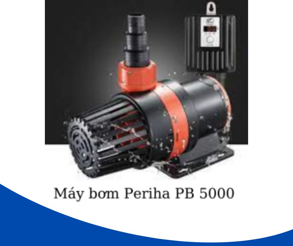 Bí Quyết Chọn Máy Bơm Hồ Cá Koi 1 Khối: Tối Ưu Lưu Lượng, Tiết Kiệm Điện 34 Máy bơm Periha PB 5000 Siêu Tiết Kiệm Điện