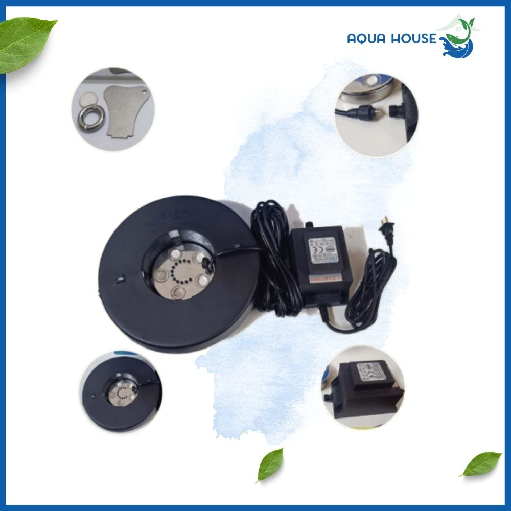 Máy Tạo Khói Hồ Cá Koi - 3 Mắt - 5 Mắt - 10 Mắt Cho Không Gian Huyền Ảo 22 Máy tạo khói 5 mắt làm tăng vẻ đẹp tự nhiên và độc đáo cho hồ cá.